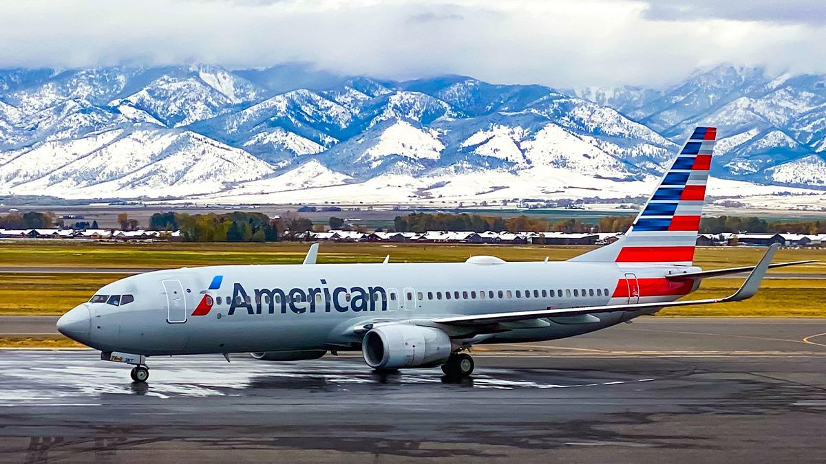 American Airlines cabin crew