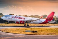 Avianca Brazil cabin crew