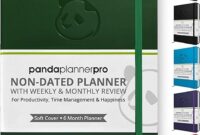 Pick the Best Panda Planner for Your Routine: Pro vs Classic